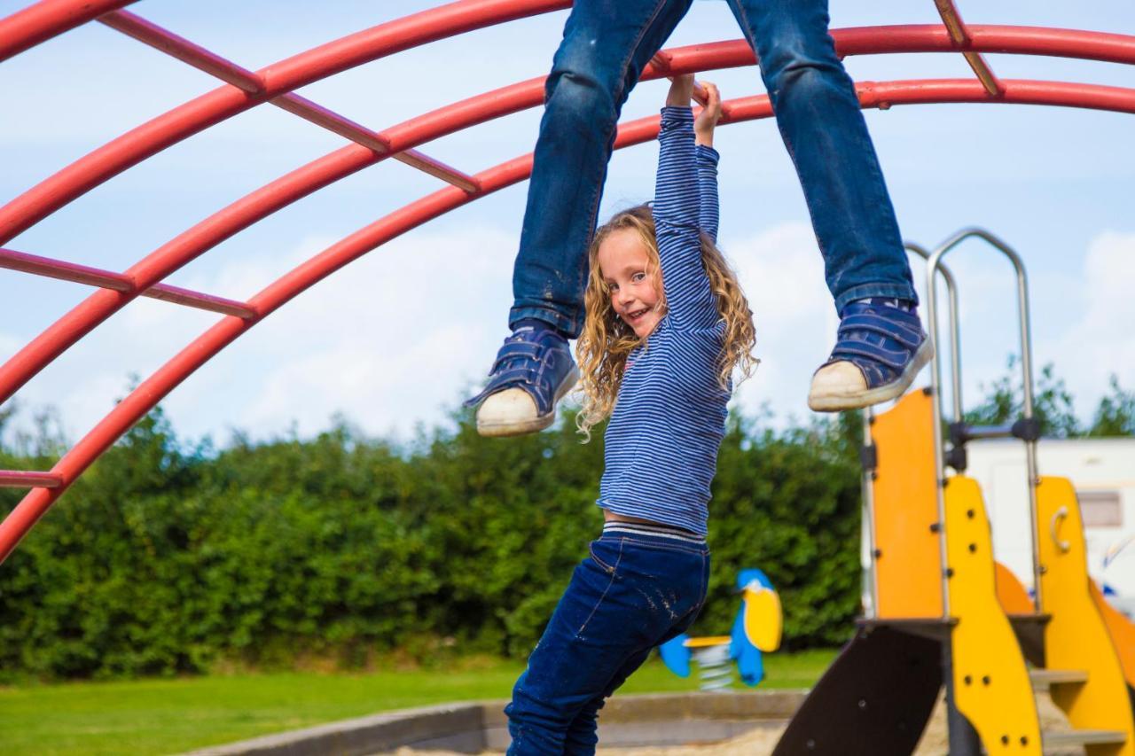 Camping De Duinhoeve Chalet Vogel Not For Companies Nieuw-Haamstede Eksteriør billede